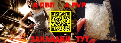 шишки Дубна