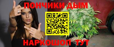 шишки Дубна